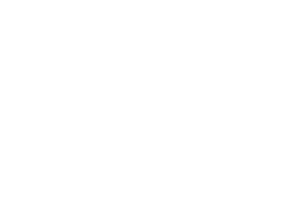 Mercy Ships logo wit