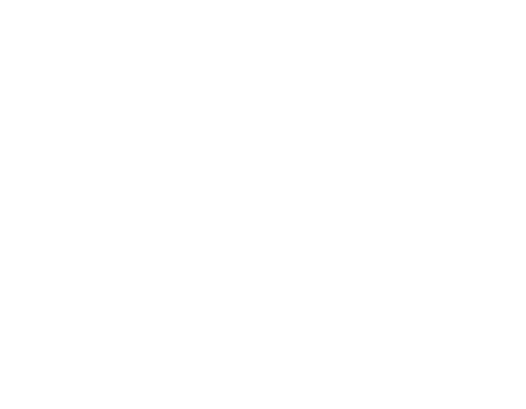 Mercy Ships logo wit
